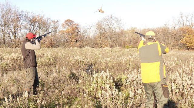 Franchi Affinity 3 X calibro 12: il video del test a caccia Franchi Affinity 3 X calibro 12 il video del test a caccia