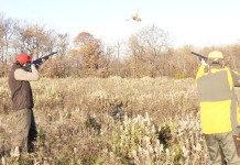 Franchi Affinity 3 X calibro 12: il video del test a caccia Franchi Affinity 3 X calibro 12 video del test a caccia