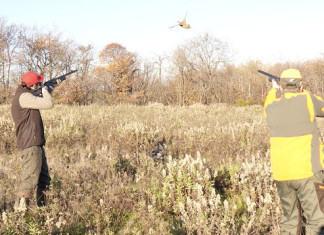 Franchi Affinity 3 X calibro 12: il video del test a caccia Franchi Affinity 3 X calibro 12 video del test a caccia