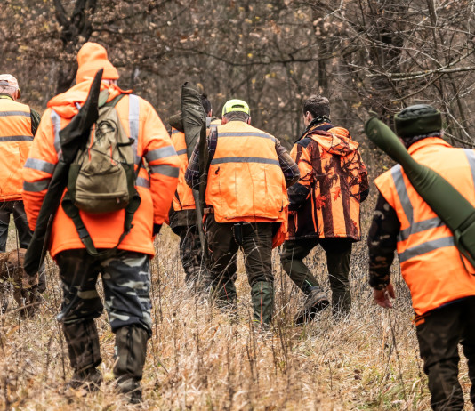 Giovedì riprende il voto degli emendamenti alla riforma della legge sulla caccia Giovedì riprende il voto degli emendamenti alla riforma della legge sulla caccia - cacciatori, con gilet alta visibilità, di spalle
