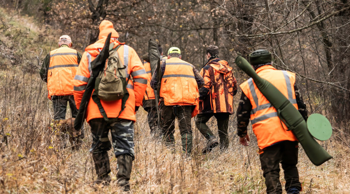 Giovedì riprende il voto degli emendamenti alla riforma della legge sulla caccia Giovedì riprende il voto degli emendamenti alla riforma della legge sulla caccia - cacciatori, con gilet alta visibilità, di spalle