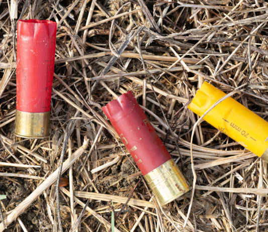 In Europa continua il confronto sulle munizioni in piombo In Europa continua il confronto sulle munizioni in piombo - tre bossoli di munizioni spezzate da caccia