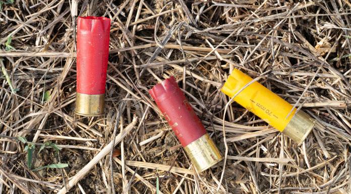 In Europa continua il confronto sulle munizioni in piombo In Europa continua il confronto sulle munizioni in piombo - tre bossoli di munizioni spezzate da caccia