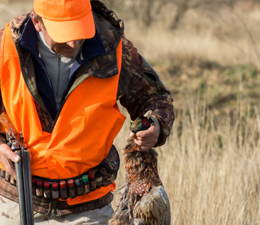 La riforma della legge sulla caccia resta ancora in commissione La riforma della legge sulla caccia resta ancora in commissione