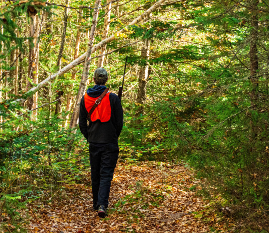 Maffei (Arcicaccia): «Una scorrettezza» l’emendamento sul comitato faunistico-venatorio Maffei (Arcicaccia) «Una scorrettezza» l’emendamento sul comitato faunistico-venatorio