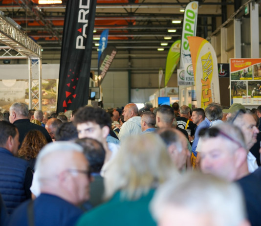 Poco più di un mese a Caccia Village Poco più di un mese a Caccia Village