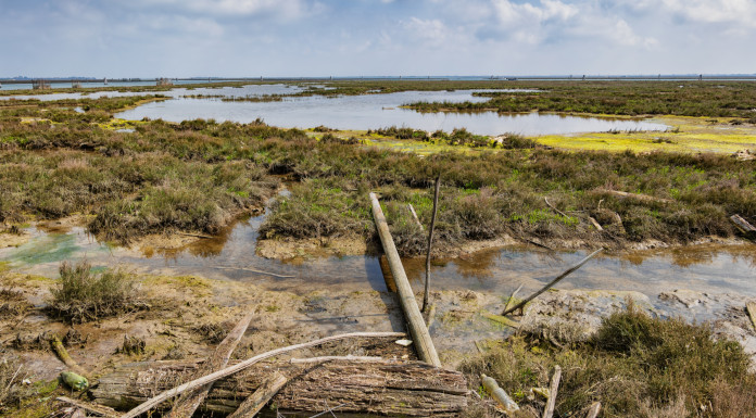 Quale scenario per le munizioni in piombo nelle zone umide? Quale scenario per le munizioni in piombo nelle zone umide