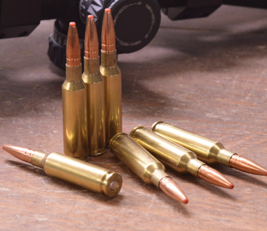 Ricarica calibro 6,5 Creedmoor con palla Hornady Ecx 140 grani: il test Ricarica calibro 6,5 Creedmoor con palla Hornady Ecx 140 grani il test