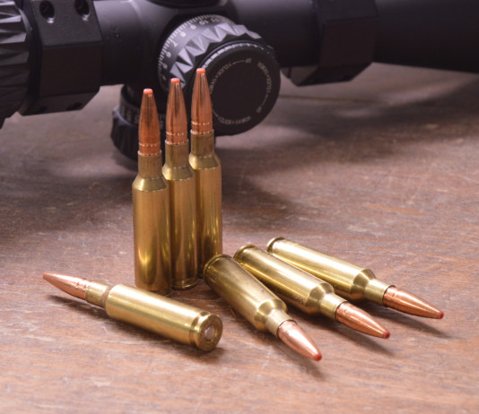 Ricarica calibro 6,5 Creedmoor con palla Hornady Ecx 140 grani: il test Ricarica calibro 6,5 Creedmoor con palla Hornady Ecx 140 grani test