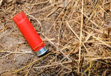 Rinviato il voto dell’emendamento sulle munizioni in piombo Rinviato il voto dell’emendamento sulle munizioni in piombo