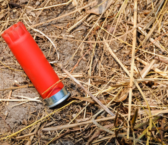 Rinviato il voto dell’emendamento sulle munizioni in piombo Rinviato il voto dell’emendamento sulle munizioni in piombo