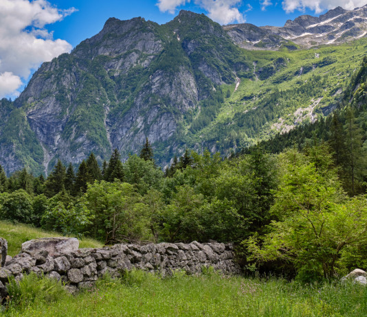 Riprende procedimento d’approvazione del piano faunistico-venatorio della Lombardia Riprende procedimento d’approvazione del piano faunistico-venatorio della Lombardia - Val Masino in Valtellina