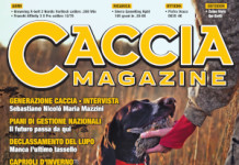 Caccia Magazine maggio 2026 caccia magazine maggio 2026
