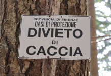 Buconi (Federcaccia): inaccettabile la lettera da Bruxelles sulla riforma della 157/92 Buconi (Federcaccia) inaccettabile la lettera da Bruxelles sulla riforma della 15792 - cartello "divieto di caccia" in oasi di protezione