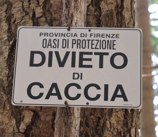 Buconi (Federcaccia) contesta la lettera di Bruxelles sulla riforma della 157/92 Buconi (Federcaccia) inaccettabile la lettera da Bruxelles sulla riforma della 15792 - cartello "divieto di caccia" in oasi di protezione