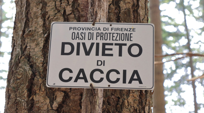 Buconi (Federcaccia): inaccettabile la lettera da Bruxelles sulla riforma della 157/92 Buconi (Federcaccia) inaccettabile la lettera da Bruxelles sulla riforma della 15792 - cartello "divieto di caccia" in oasi di protezione