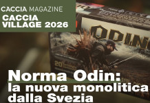 Norma Odin: la nuova monolitica dalla Svezia – Caccia Village 2026 Norma Odin la nuova monolitica dalla Svezia - Caccia Village 2026