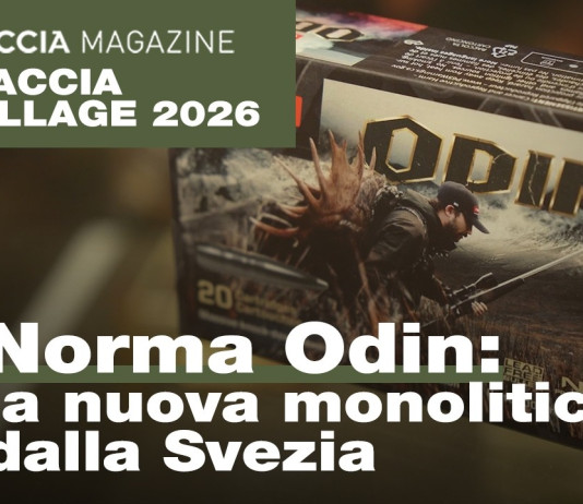 Norma Odin: la nuova monolitica dalla Svezia – Caccia Village 2026 Norma Odin la nuova monolitica dalla Svezia - Caccia Village 2026
