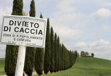 Per gli ambientalisti la riforma della legge sulla caccia è «un attentato a sicurezza e natura» Per gli ambientalisti la riforma della legge sulla caccia è «un attentato a sicurezza e natura» - cartello divieto di caccia