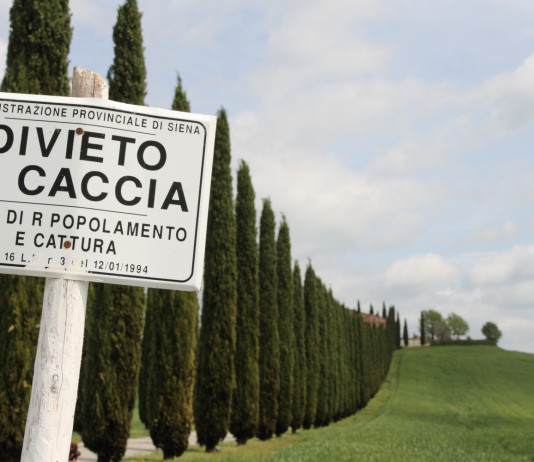 Per gli ambientalisti la riforma della legge sulla caccia è «un attentato a sicurezza e natura» Per gli ambientalisti la riforma della legge sulla caccia è «un attentato a sicurezza e natura» - cartello divieto di caccia