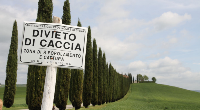 Per gli ambientalisti la riforma della legge sulla caccia è «un attentato a sicurezza e natura» Per gli ambientalisti la riforma della legge sulla caccia è «un attentato a sicurezza e natura» - cartello divieto di caccia
