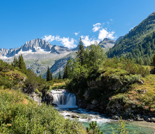 Per l’Enpa la riforma della legge 157/92 colpisce Parchi e aree protette Per l’Enpa la riforma della legge 15792 colpisce Parchi e aree protette - parco naturale adamello brenta