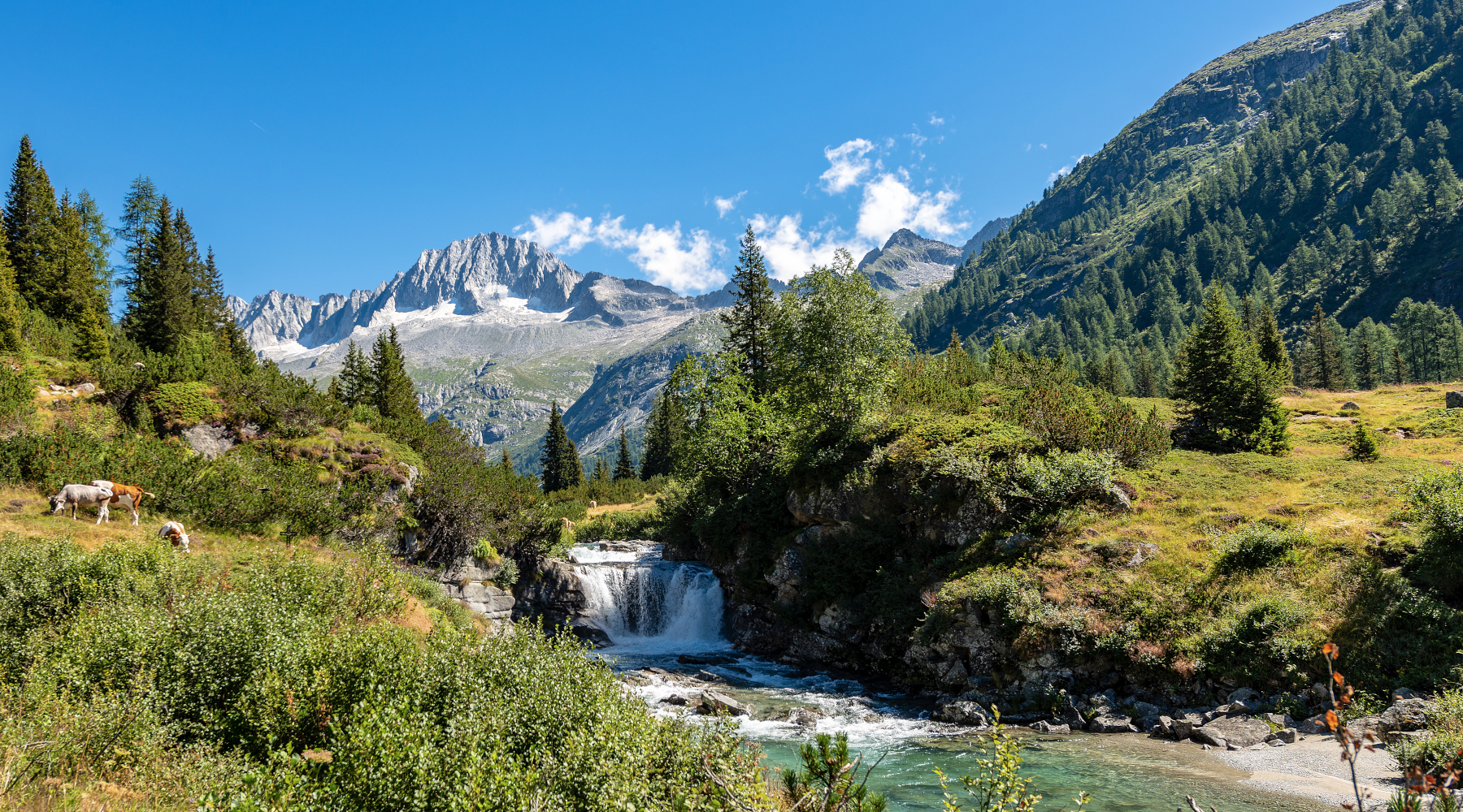 Per l’Enpa la riforma della legge 15792 colpisce Parchi e aree protette Per l’Enpa la riforma della legge 15792 colpisce Parchi e aree protette - parco naturale adamello brenta
