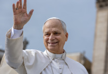 Sulla riforma della legge sulla caccia la Lipu scrive al papa Sulla riforma della legge sulla caccia la Lipu scrive al papa