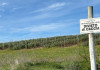 Tar Abruzzo: il 20-30% è «limite minimo» di territorio sottratto alla caccia Tar Abruzzo il 20-30% è limite minimo di territorio sottratto alla caccia