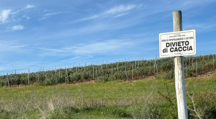 Tar Abruzzo: il 20-30% è «limite minimo» di territorio sottratto alla caccia Tar Abruzzo il 20-30% è limite minimo di territorio sottratto alla caccia