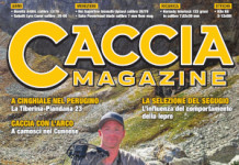Caccia Magazine giugno 2026 caccia magazine giugno 2026