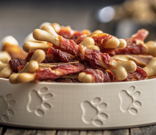 È pronto in ciotola: manuale di cucina casalinga per cani e gatti È pronto in ciotola manuale di cucina casalinga per cani e gatti