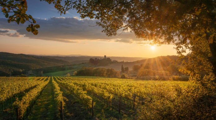 In Toscana l’Enalcaccia si avvicina alla Federcaccia In Toscana l’Enalcaccia si avvicina alla Federcaccia - vigne a passignano