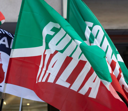 Rita Dalla Chiesa (Forza Italia): alla Camera «cercherò di bloccare» la riforma della 157/92 Rita Dalla Chiesa (Forza Italia) alla Camera «cercherà di bloccare» la riforma della 157 92 - bandiere Forza Italia