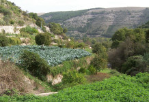 Sparvoli (Libera Caccia) contro l’istituzione del Parco nazionale degli Iblei in Sicilia Sparvoli (Libera Caccia) contro l’istituzione del Parco nazionale degli Iblei in Sicilia - monti iblei
