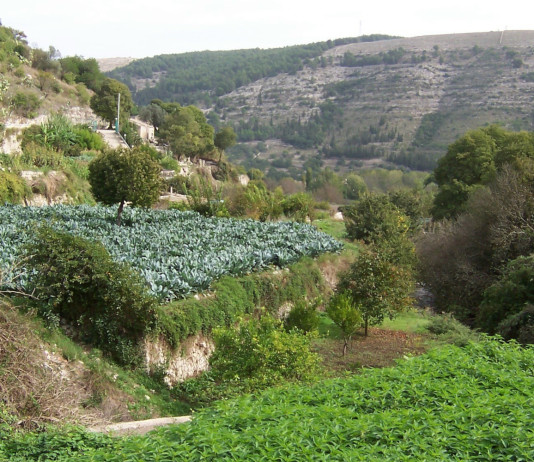 Sparvoli (Libera Caccia) contro l’istituzione del Parco nazionale degli Iblei in Sicilia Sparvoli (Libera Caccia) contro l’istituzione del Parco nazionale degli Iblei in Sicilia - monti iblei