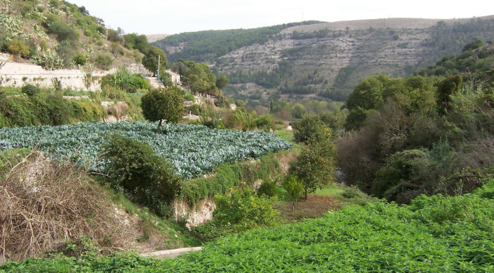Sparvoli (Libera Caccia) contro l’istituzione del Parco nazionale degli Iblei in Sicilia Sparvoli (Libera Caccia) contro l’istituzione del Parco nazionale degli Iblei in Sicilia - monti iblei