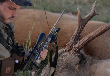 Cva Cascade Wideland camo 6,5 Creedmoor: il video del test a caccia Cva Cascade Wideland camo 6,5 Creedmoor il test a caccia