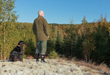 Federcaccia a Lipu: una riforma non si valuta con i sondaggi Federcaccia a Lipu: una riforma non si valuta con i sondaggi - cacciatore di spalle con cane setter gordon