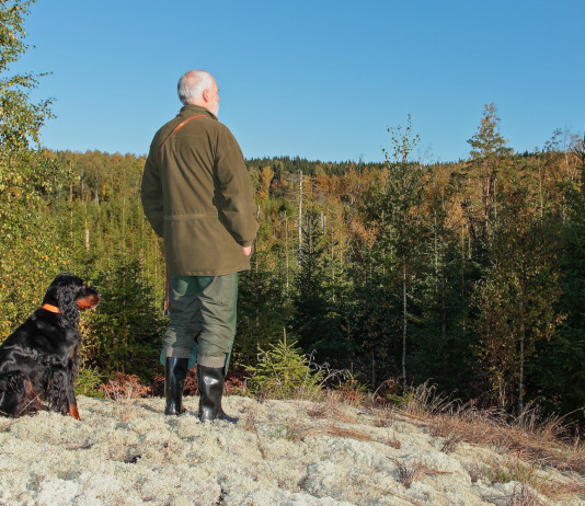 Federcaccia a Lipu: una riforma non si valuta con i sondaggi Federcaccia a Lipu: una riforma non si valuta con i sondaggi - cacciatore di spalle con cane setter gordon