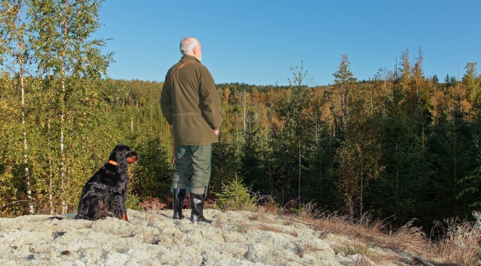 Federcaccia a Lipu: una riforma non si valuta con i sondaggi Federcaccia a Lipu: una riforma non si valuta con i sondaggi - cacciatore di spalle con cane setter gordon