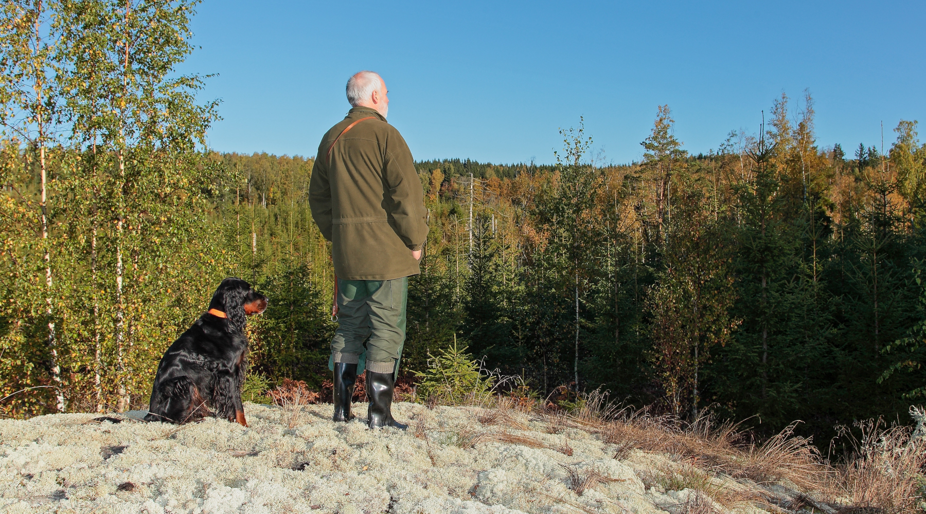 Federcaccia a Lipu una riforma non si valuta con i sondaggi Federcaccia a Lipu: una riforma non si valuta con i sondaggi - cacciatore di spalle con cane setter gordon