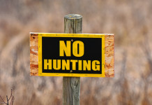 In audizione alla Camera ambientalisti chiedono ritiro del ddl caccia In audizione alla Camera ambientalisti chiedono ritiro del ddl caccia - cartello "no hunting"
