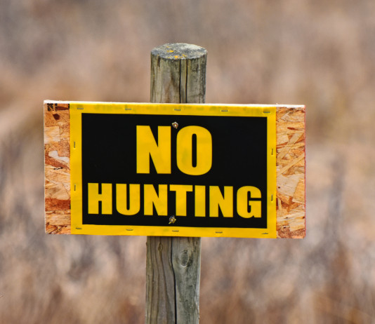 In audizione alla Camera ambientalisti chiedono ritiro del ddl caccia In audizione alla Camera ambientalisti chiedono ritiro del ddl caccia - cartello "no hunting"