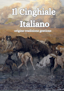 il cinghiale italiano