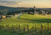 Fidc, Enalcaccia e Anuu elencano le critiche al piano faunistico-venatorio della Toscana Fidc, Enalcaccia e Anuu elencano le critiche al piano faunistico-venatorio della Toscana - colline toscane