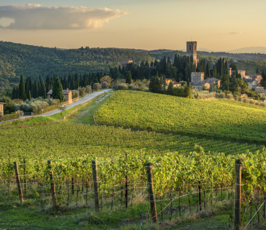 Fidc, Enalcaccia e Anuu elencano le critiche al piano faunistico-venatorio della Toscana Fidc, Enalcaccia e Anuu elencano le critiche al piano faunistico-venatorio della Toscana - colline toscane