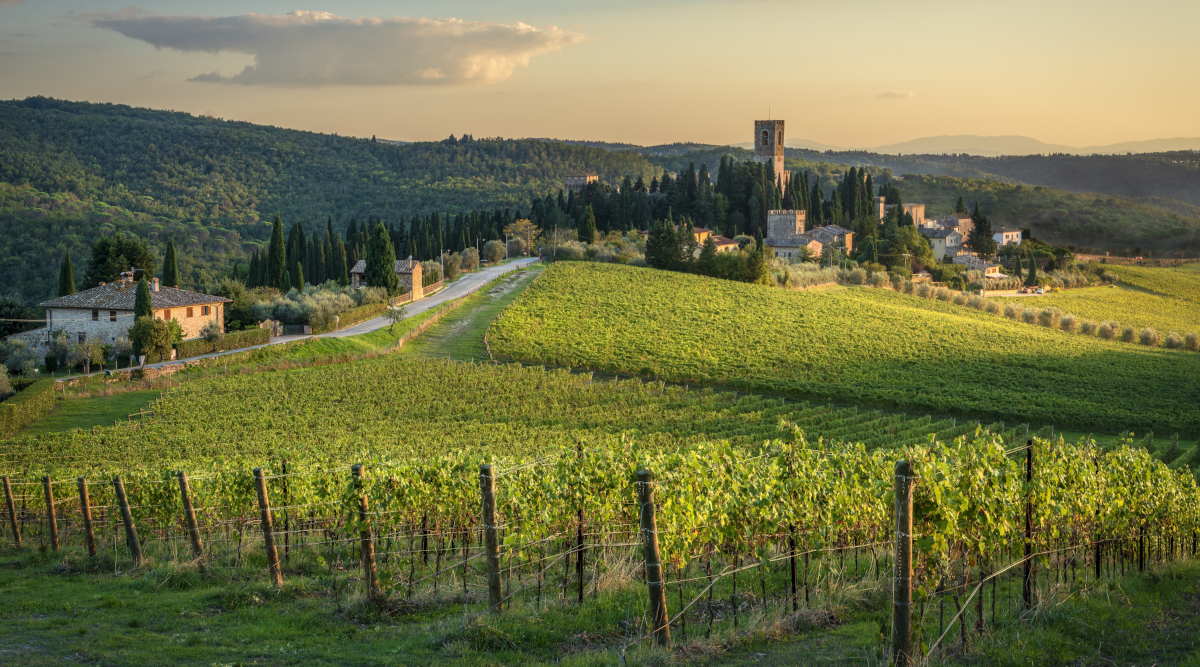 Fidc, Enalcaccia e Anuu elencano le critiche al piano faunistico-venatorio della Toscana Fidc, Enalcaccia e Anuu elencano le critiche al piano faunistico-venatorio della Toscana - colline toscane