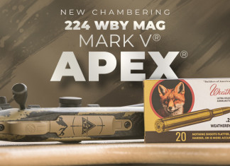 La Weatherby Mark V Apex in .224 Weatherby magnum La Weatherby Mark V Apex 224 Weatherby magnum
