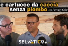 Online la prima puntata di Selvatico, il podcast di Caccia Magazine Online la prima puntata di Selvatico, il podcast di Caccia Magazine